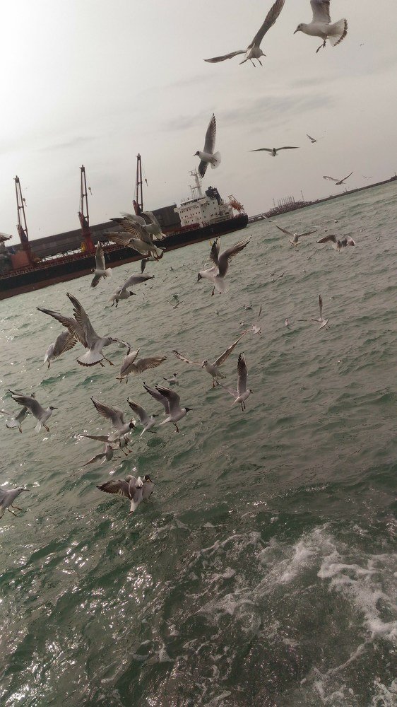 Photo #5423997