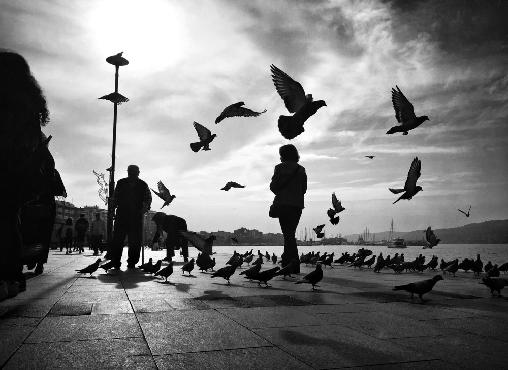 Photograph by Yalim Vural