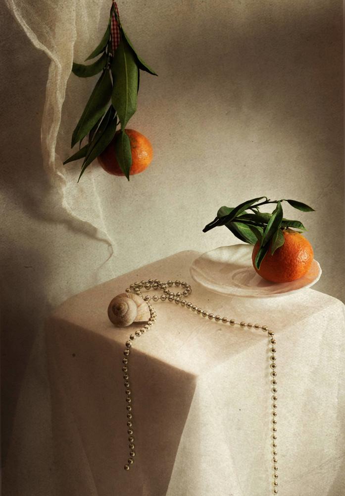 Photograph by Aušra Pečiūrienė