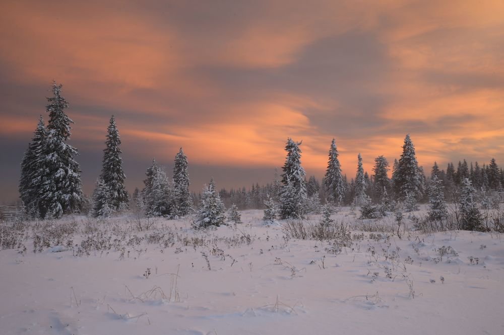 Фотография автора Юрий Кетель