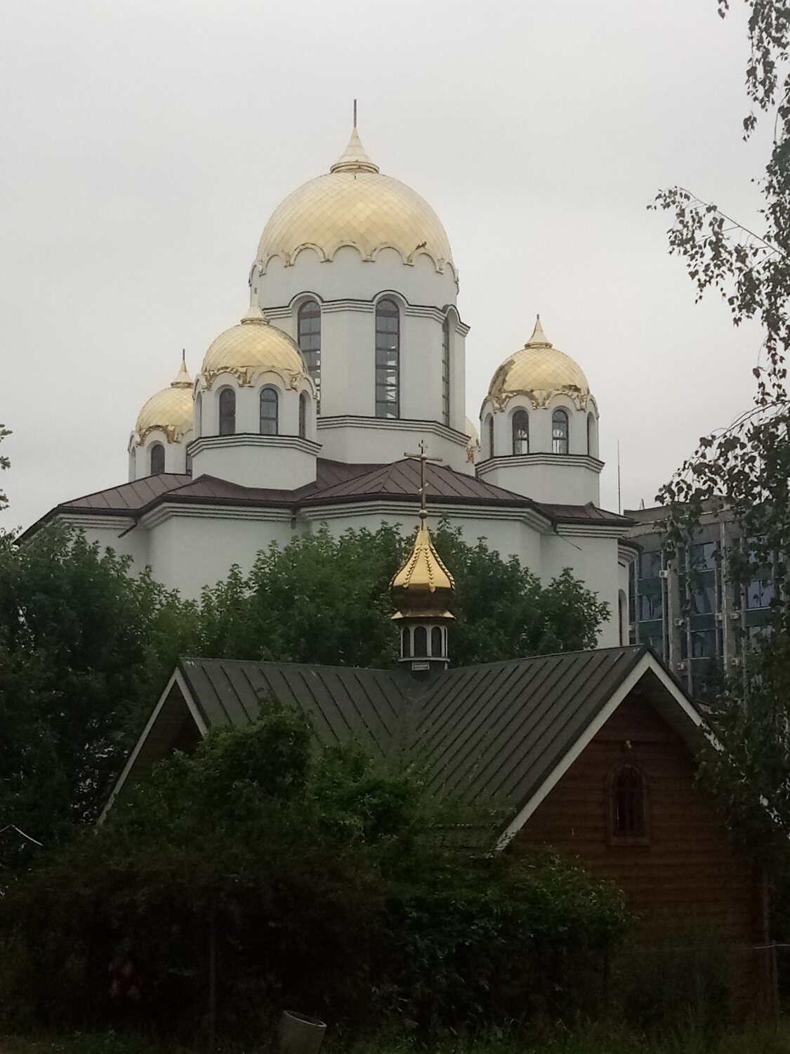 Photo #5424131