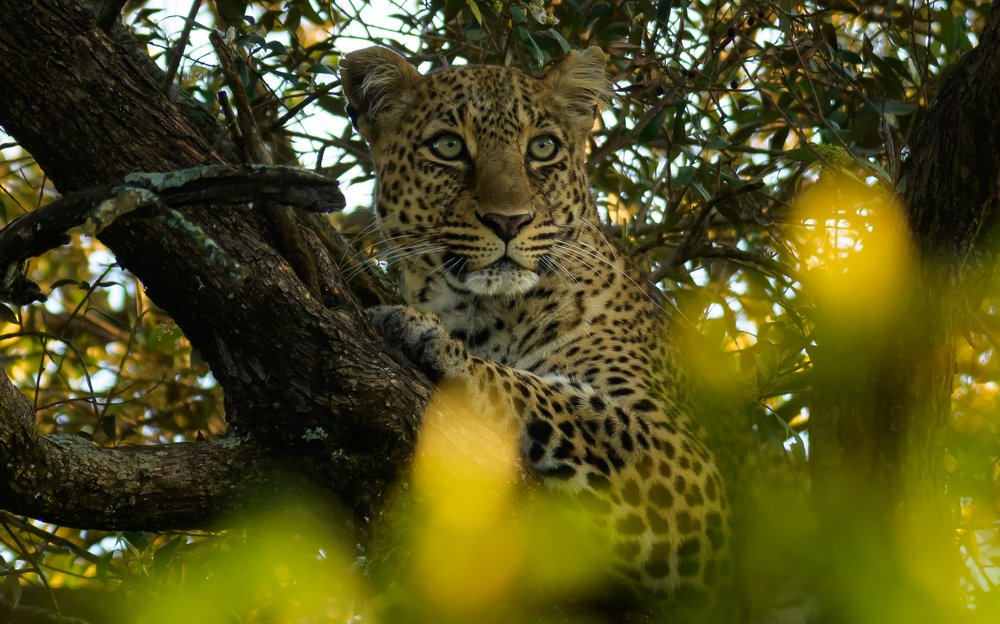 Photograph by Vignesh Ramachandran