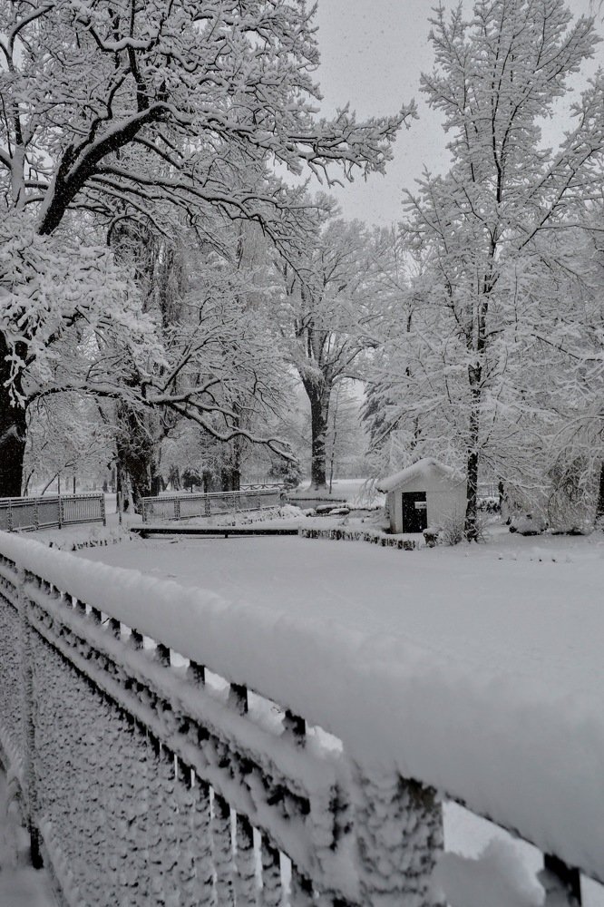 Photograph by Cornelia Ilie