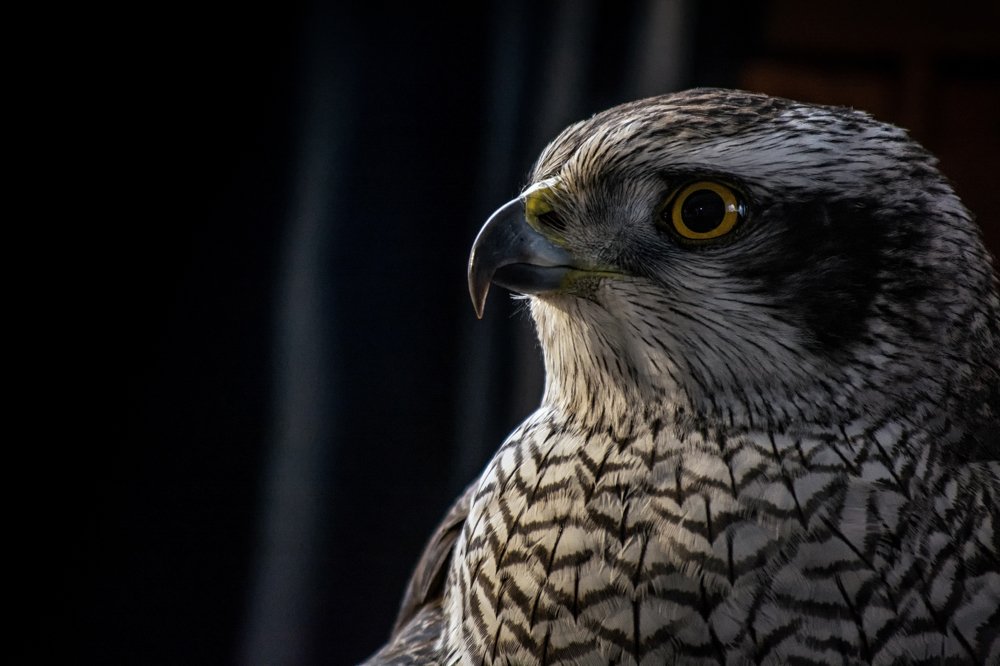 Photograph by Евгений Антонов