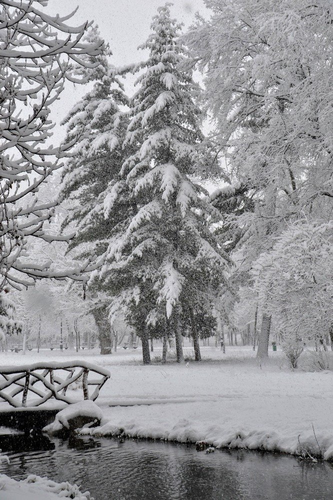 Photograph by Cornelia Ilie