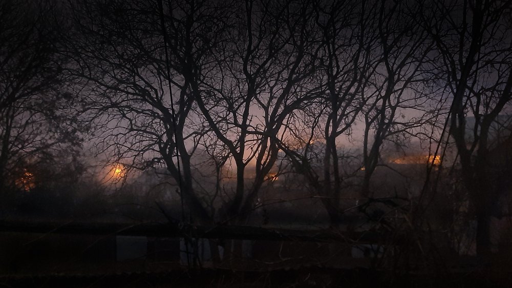 Photograph by Леонид Борисенко