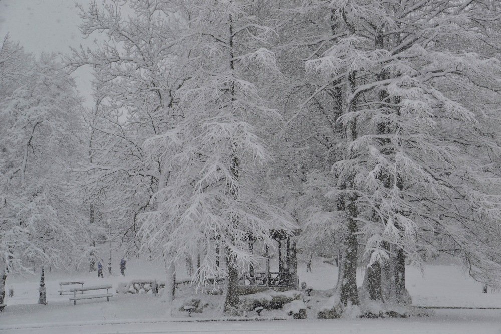 Photograph by Cornelia Ilie