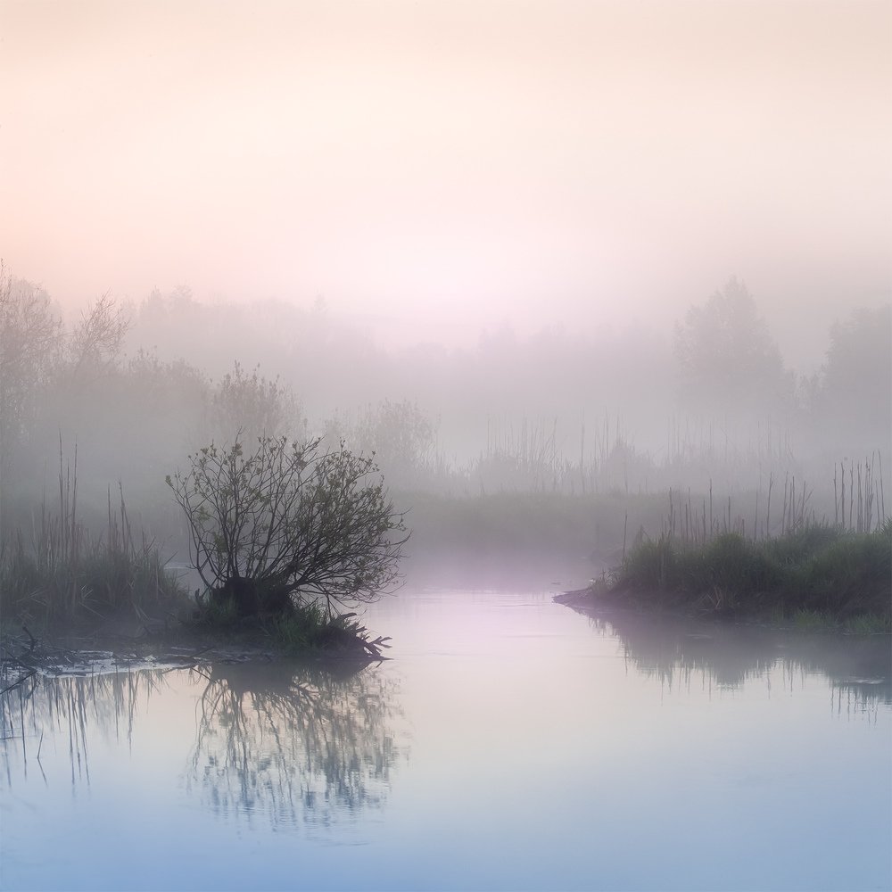 Photograph by Константин Гончаров