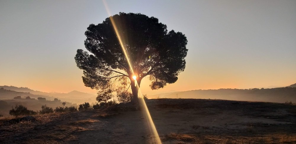 Photograph by Mensi Haythem