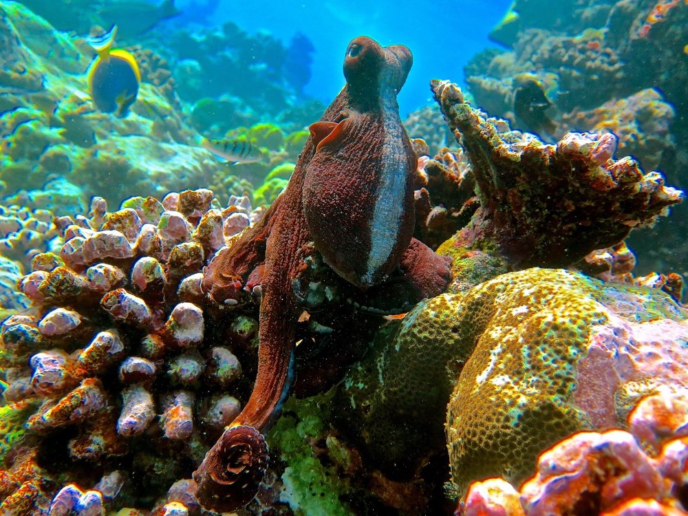 Photograph by Ирина Науменко