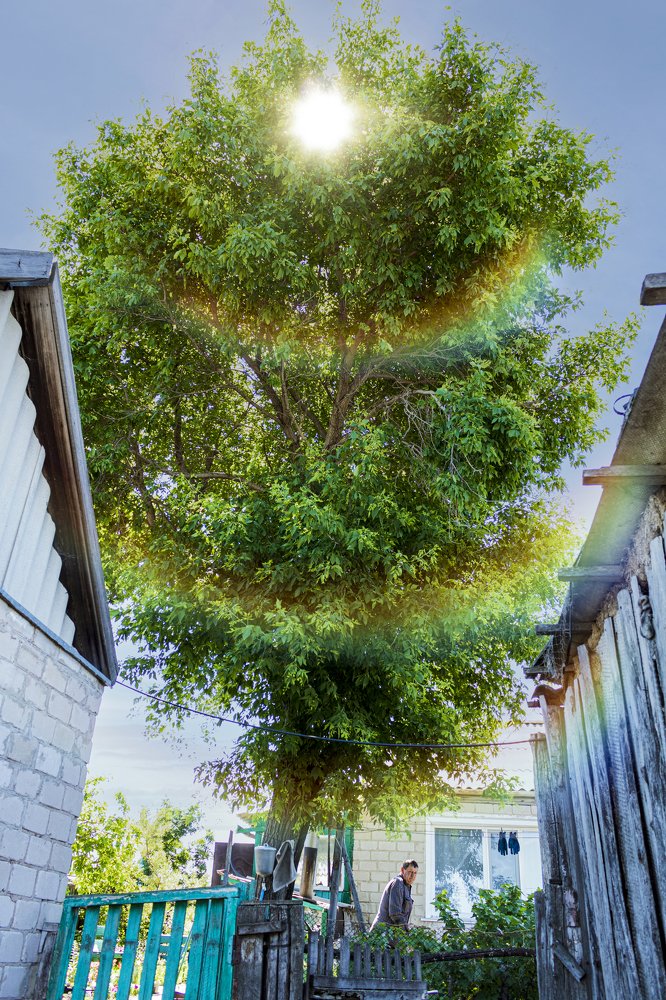 Photograph by Михаил Чмир