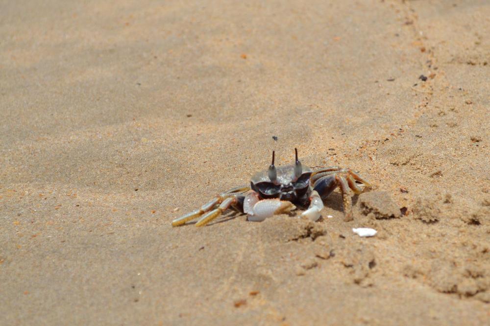 Photograph by Анжелика Трошина