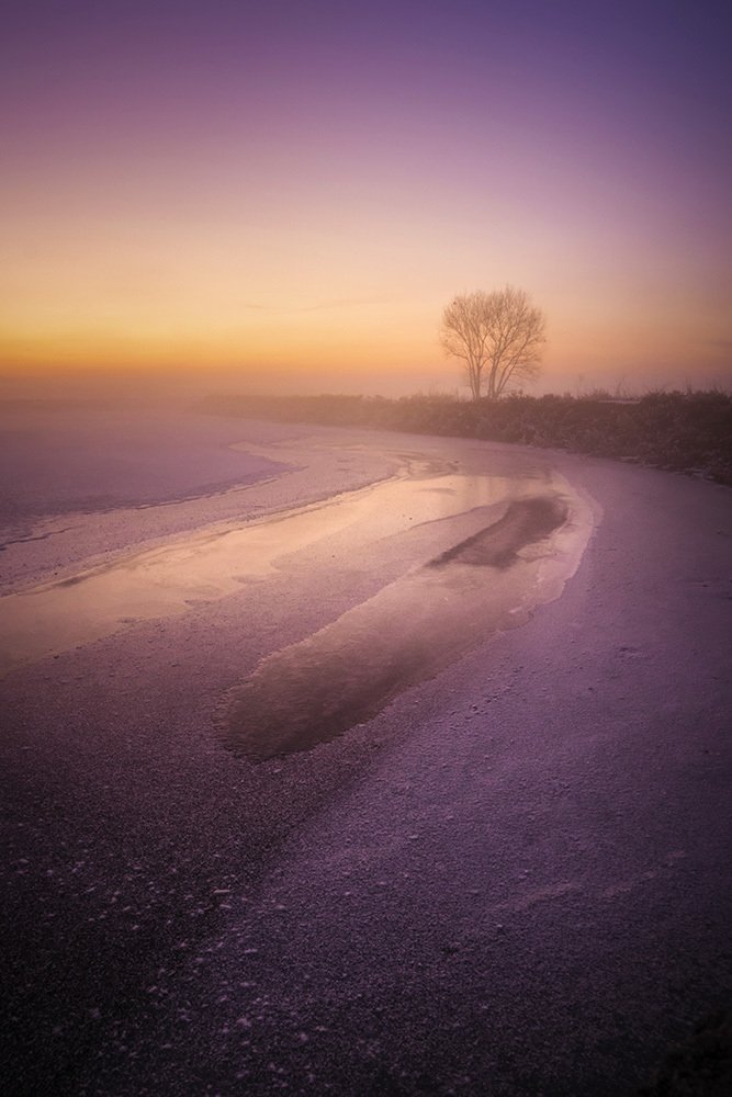 Photograph by Amir Ramezani