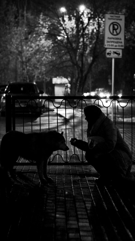 Дружба / Friendship