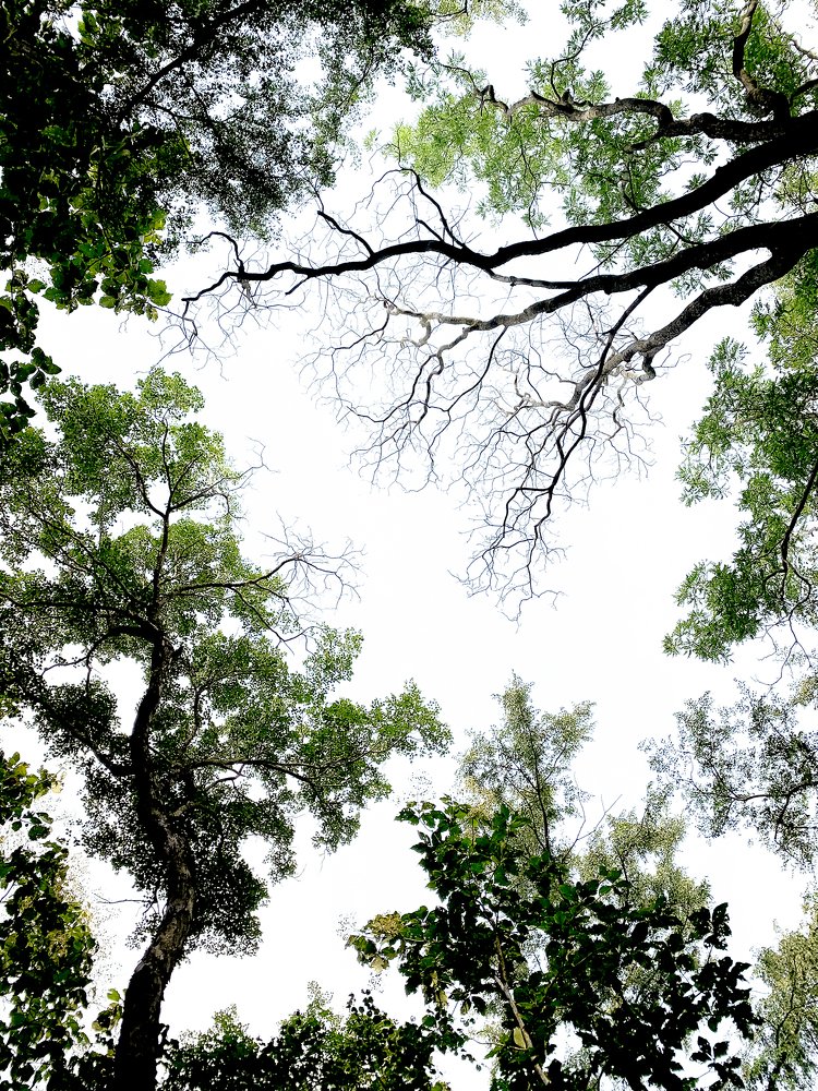 Photograph by Neeraj Gade