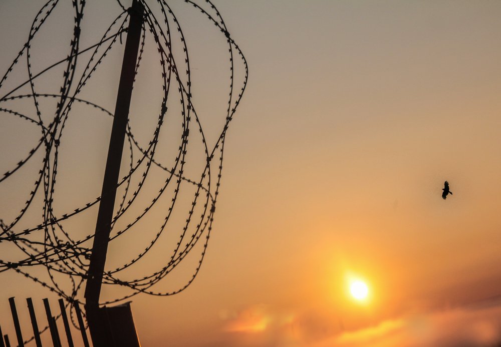 Photograph by Ринат Файзуллин