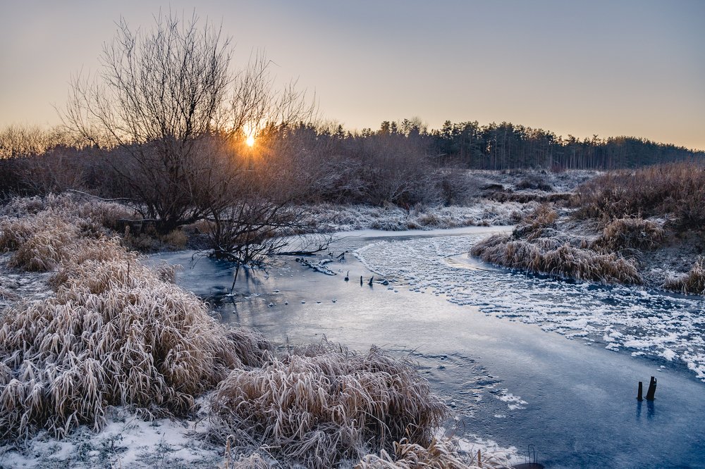 Photograph by Михаил Смирнов
