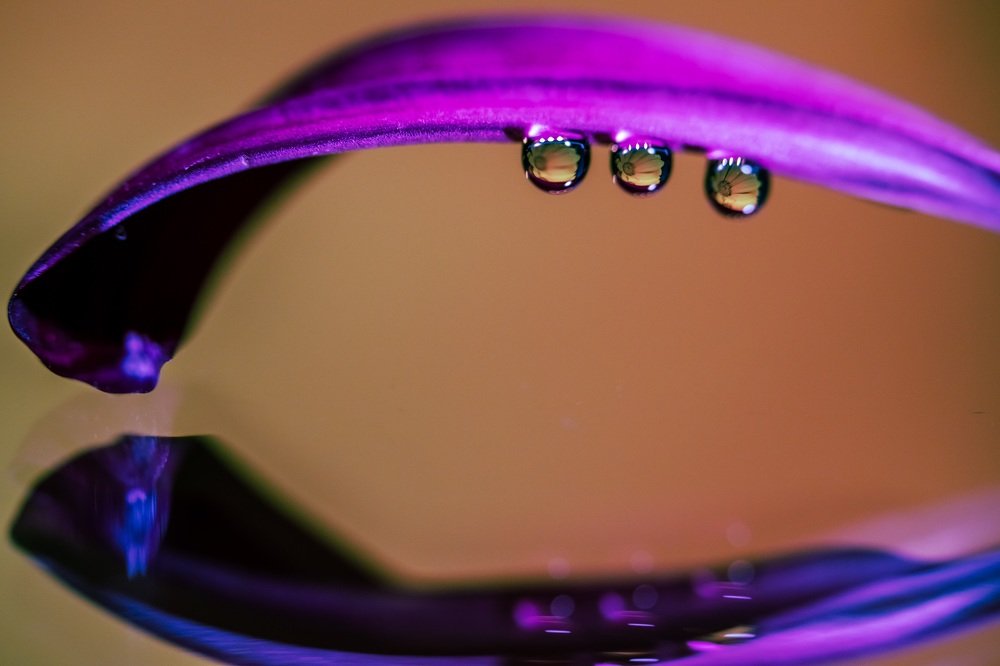 Photograph by Марина Беликова