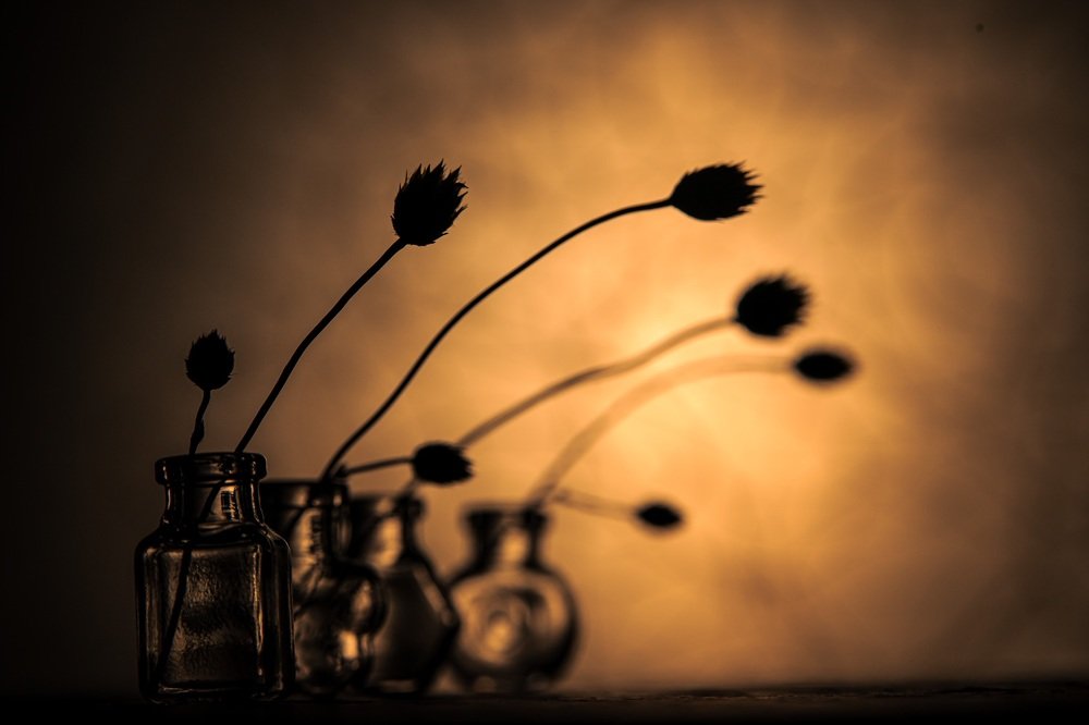 Photograph by Марина Беликова