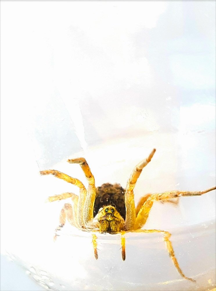 Photograph by Саламбек Ханкушов