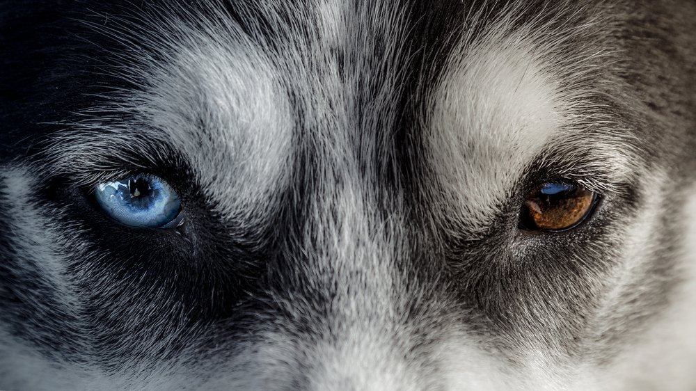 Photograph by Константин Кукушкин