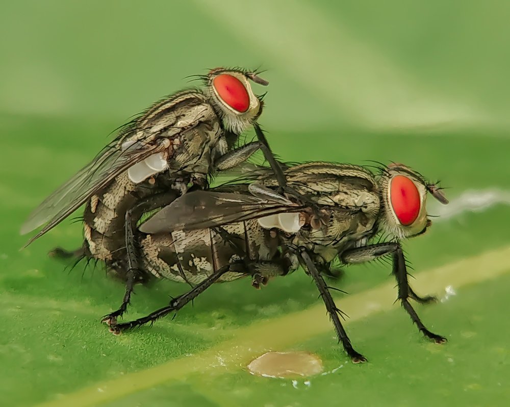 Фотография автора ISLAM SK RIYAJUL