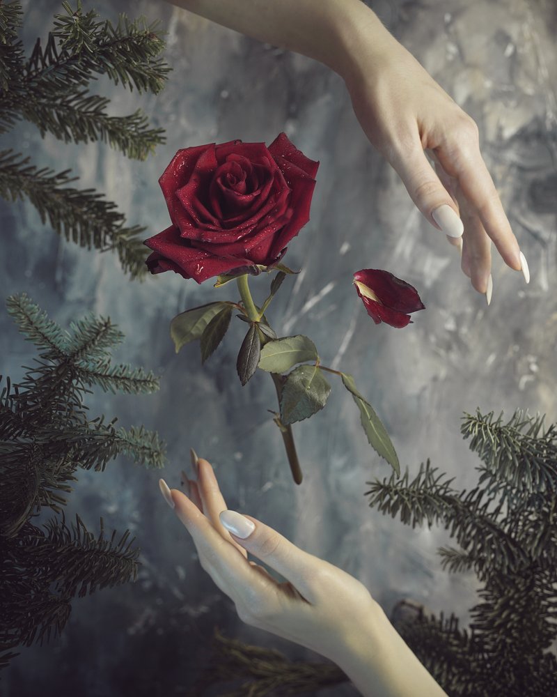 Photograph by Леся Костарева