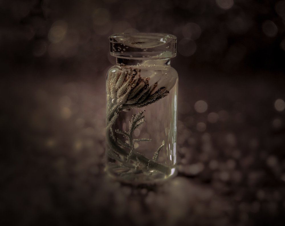 Photograph by Эльвира Курочкина