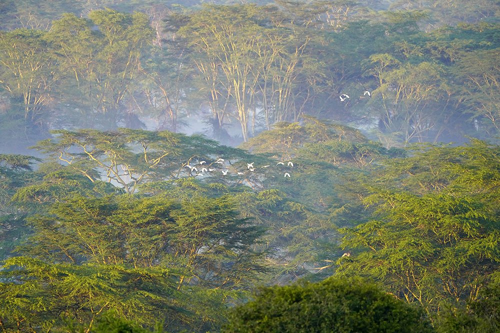 Photograph by juan francisco zamora salmeron