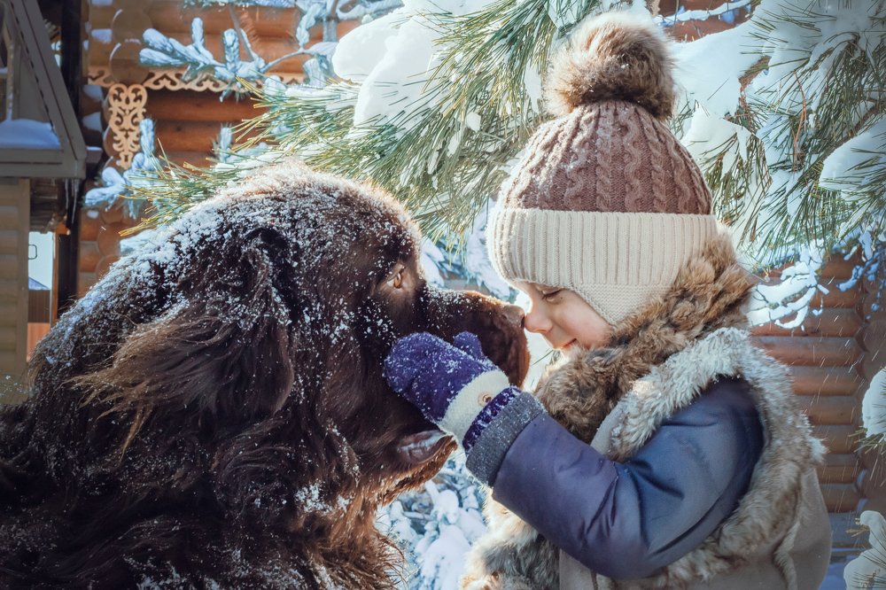 Photograph by Лис Ната