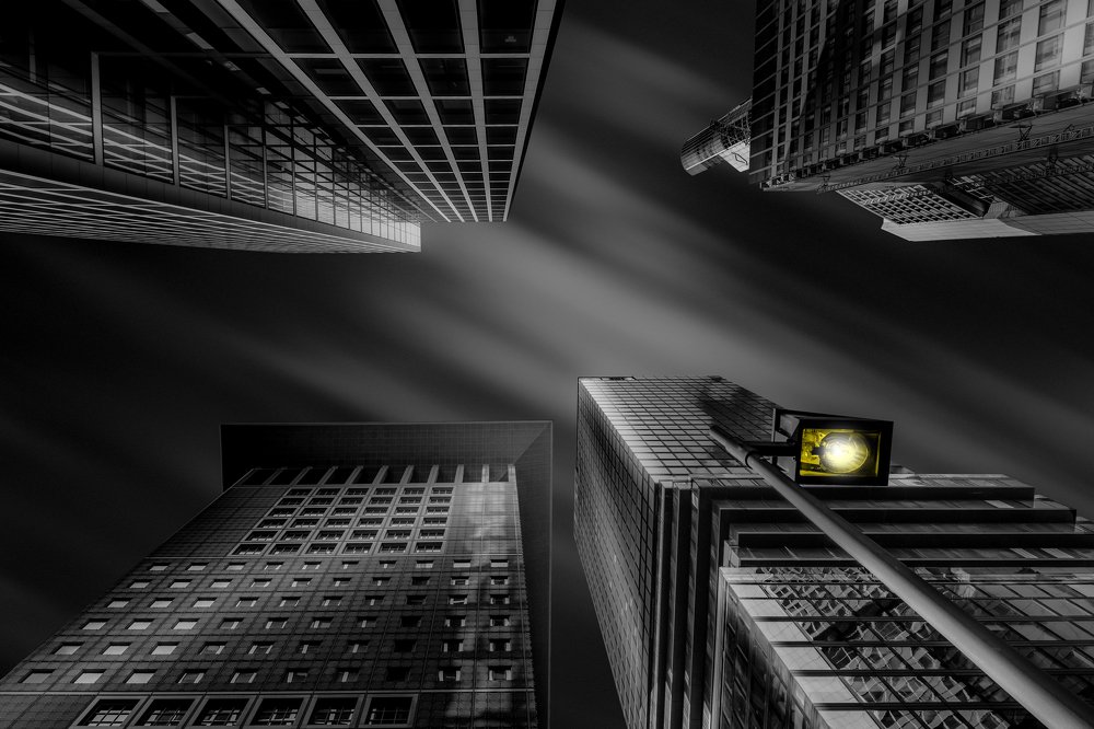 Фотография автора Adam Pachula