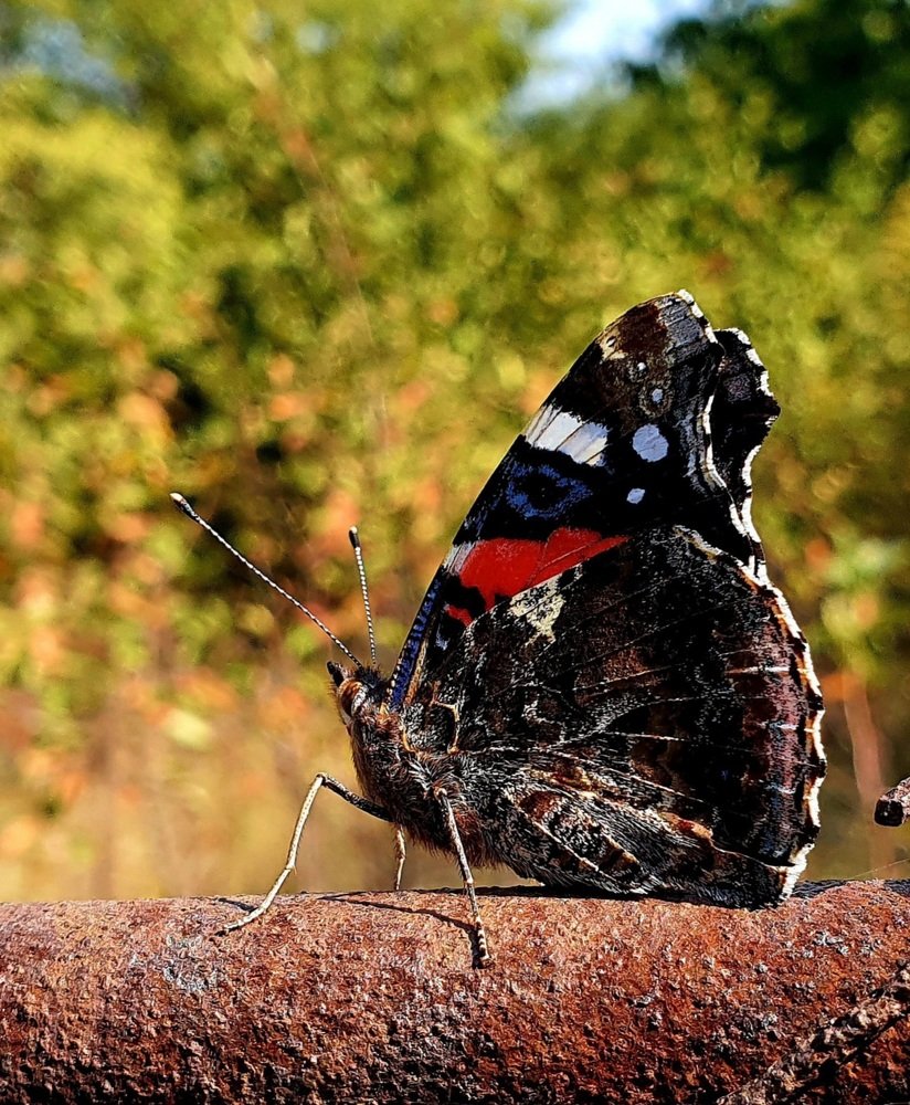 Photograph by Вера Курносова