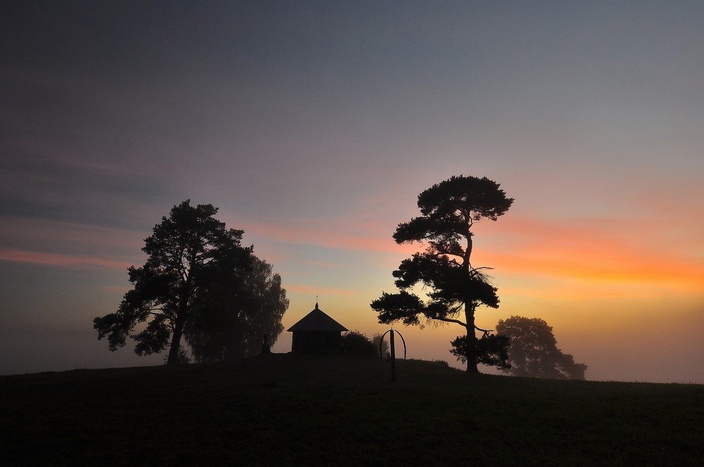 Photograph by 