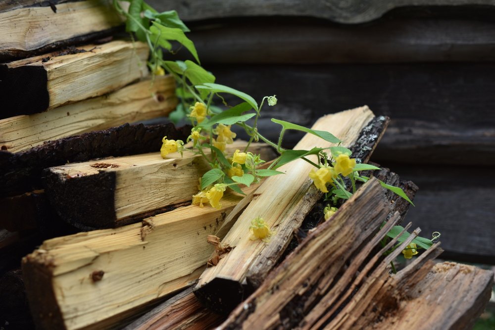 Фотография автора Павел Трегубов