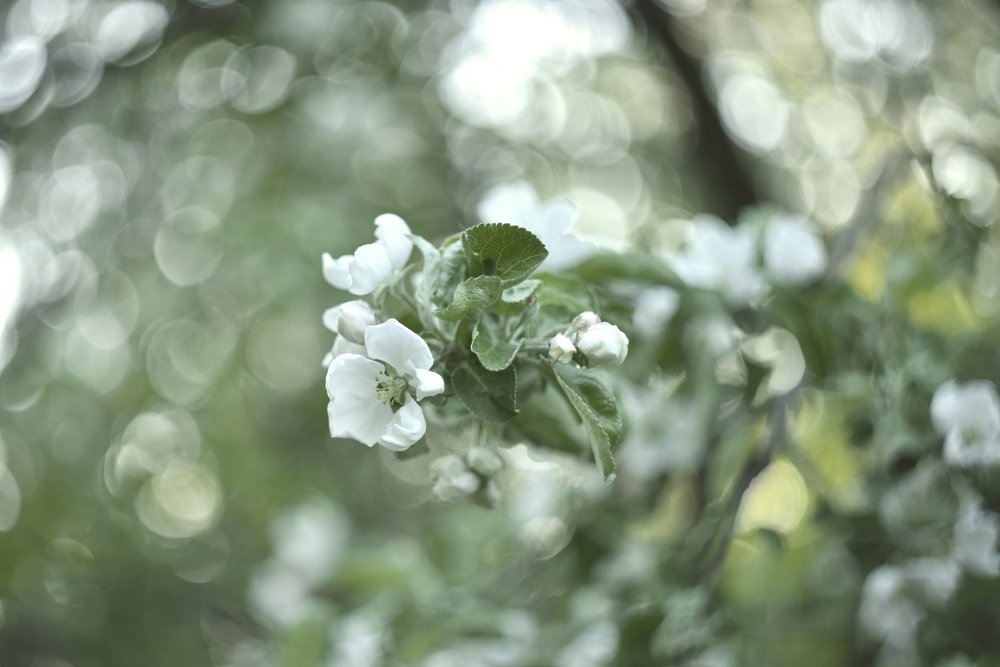 Фотография автора Павел Трегубов
