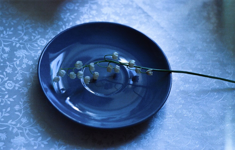 Photograph by Katsiaryna Hamelko