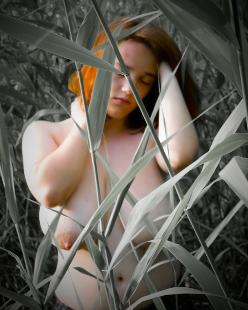 Фотография автора даниел милчев