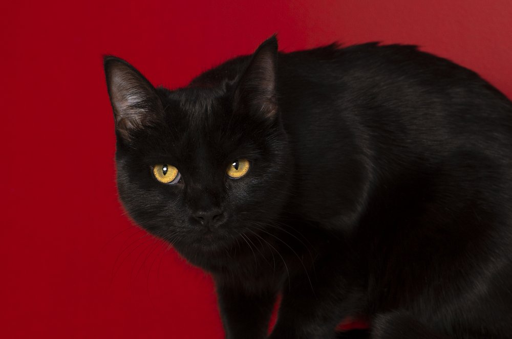 Photograph by Farshad Yazdankhah