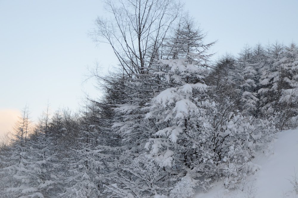 Photograph by Александра Красникова