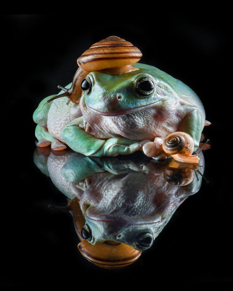 Photograph by Setiadi Ajar