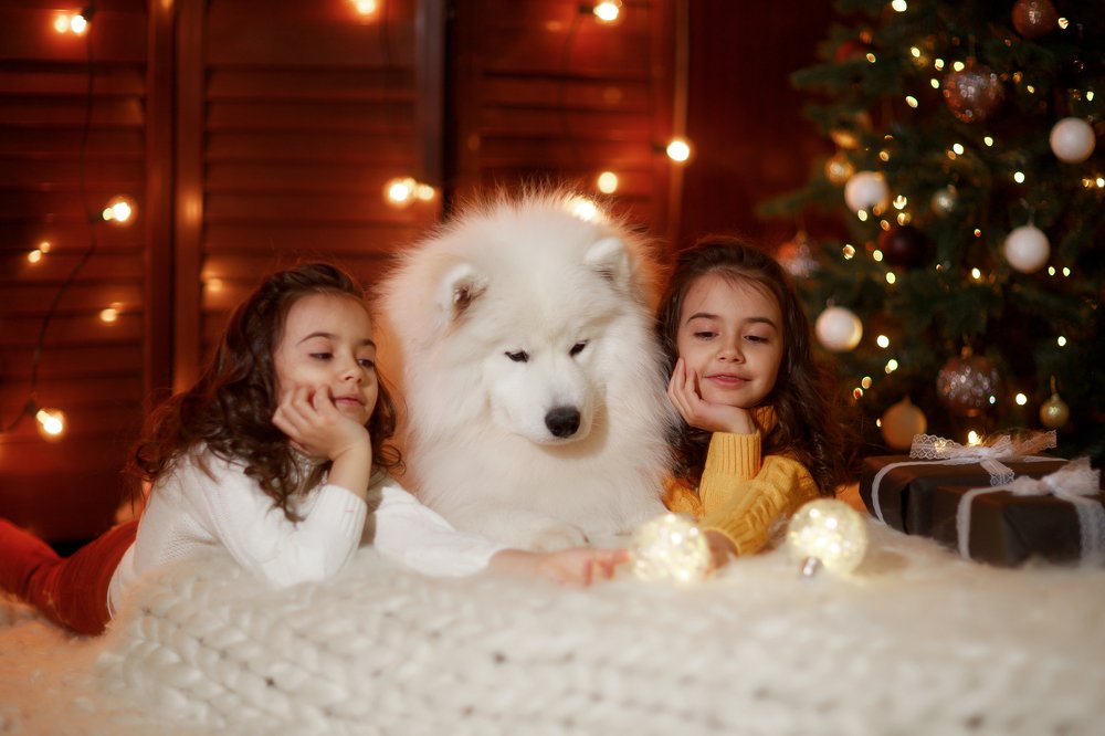 Photograph by Александр Петунин