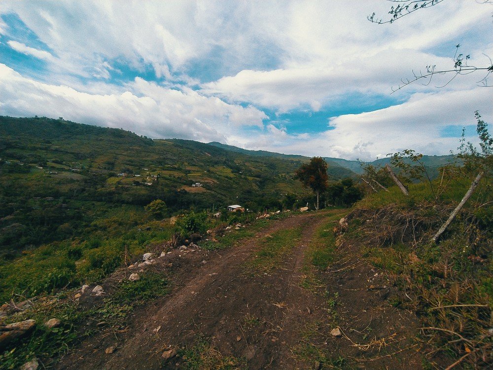 Photograph by Edgar Guillén