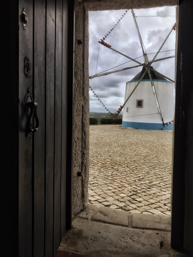 Photograph by Hellen de Carvalho