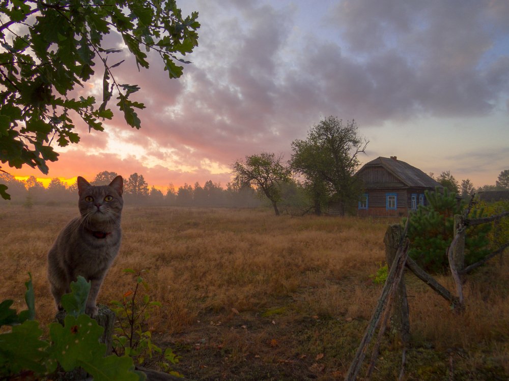 Photograph by Игорь Жданович