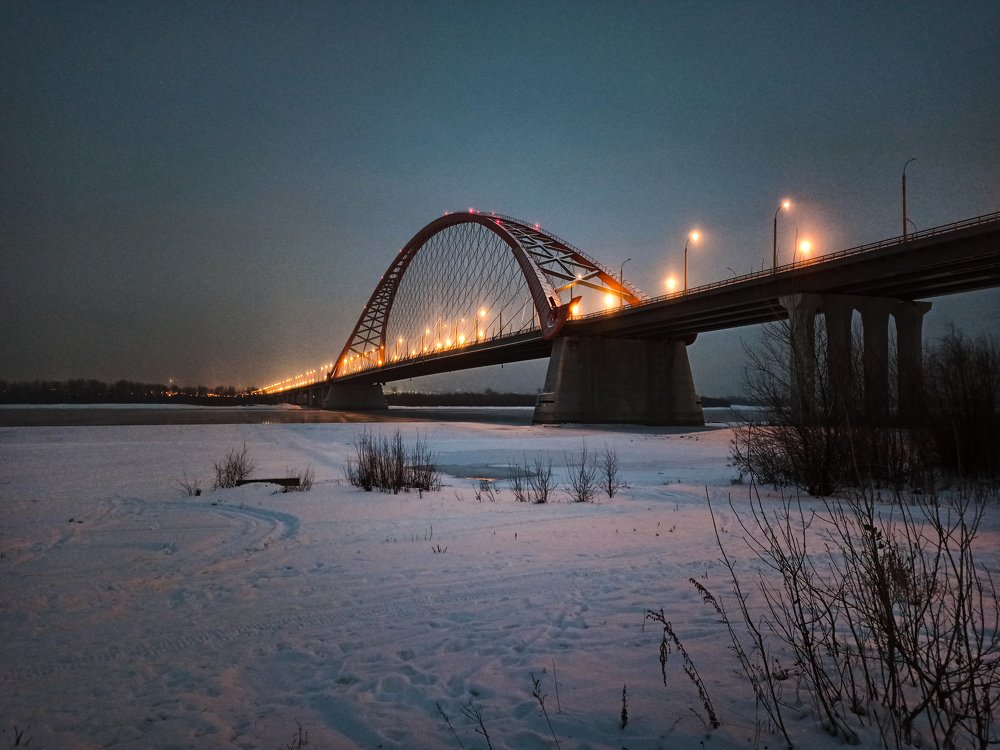 Бугринский мост. Новосибирск