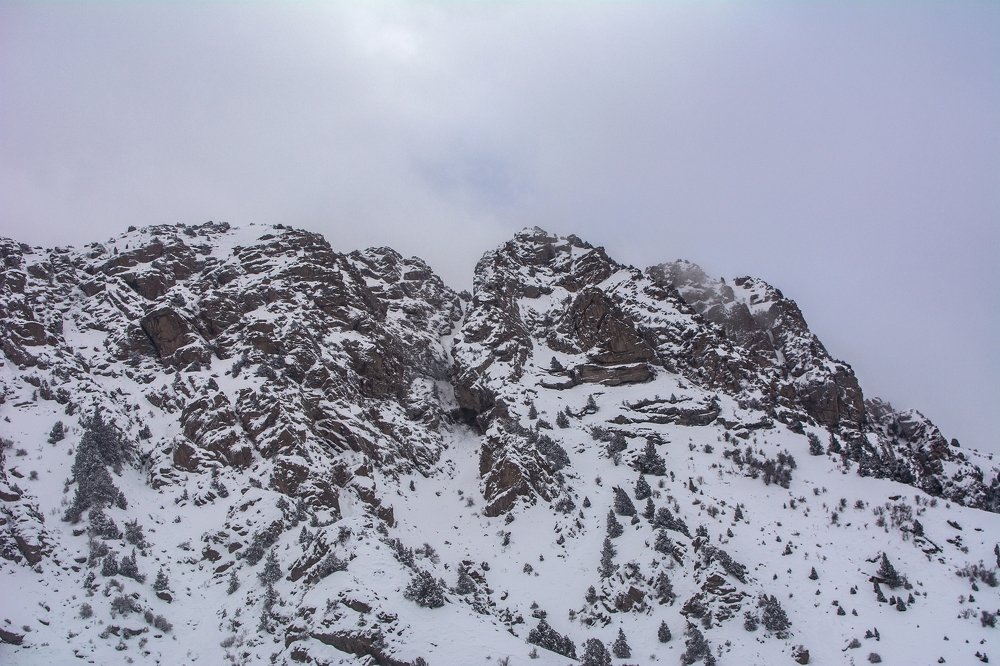 Photograph by Дильмурад Ахмедов