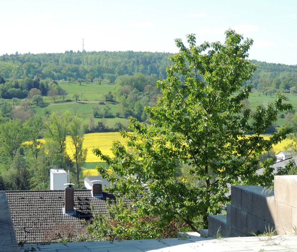 Photograph by Юрий Тихонов