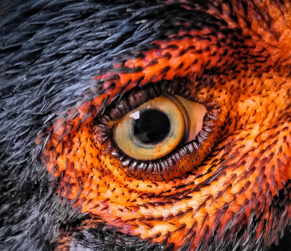 Photograph by Krishna Chandra  Dule