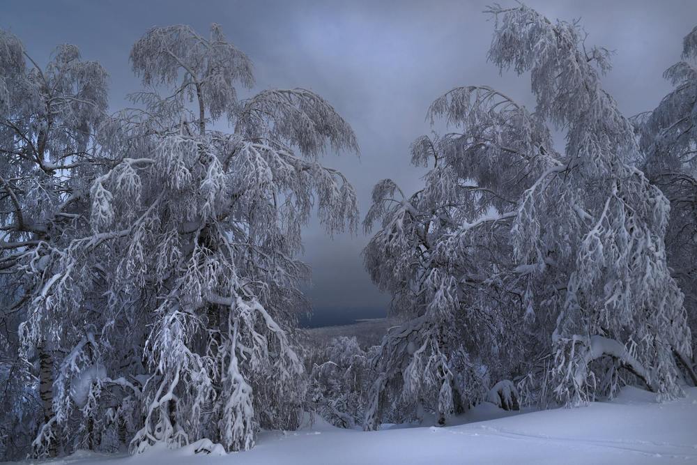 Photograph by Павел Крылов