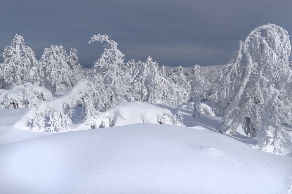 Photograph by Павел Крылов